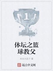 体坛之篮球教父TXT奇书网