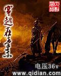 穿越秦末南征军