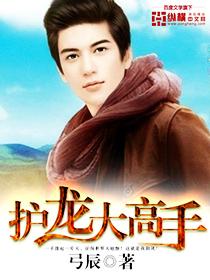 护龙保镖公司
