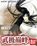 武极巅峰罗逸笔趣阁