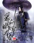 幕府将军全图