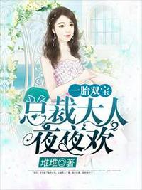 一胎双宝总裁大人夜夜欢阮白慕少凌最新... 笔趣