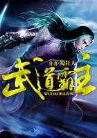 武道霸主 秘境 笔趣阁