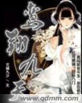 九天鸾风半眸