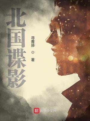 北国谍影第二部免费阅读