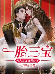 陆霆川林若雪全文免费阅读正版