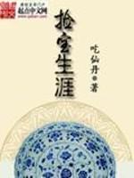 捡宝生涯txt八零电子书