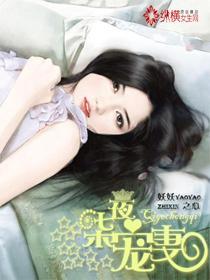 叶辰修真弃少全集