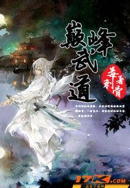 巅峰武道会破解版