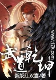 武道乾坤好看不