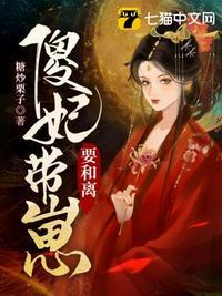 傻妃嫁到全文免费阅读