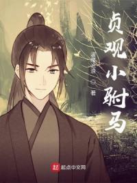 贞观驸马爷苏牧