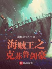 海贼王之剑客之心