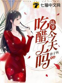 盛晚音陆北