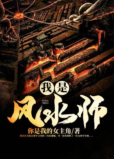 我是风水师陈年王铭铭